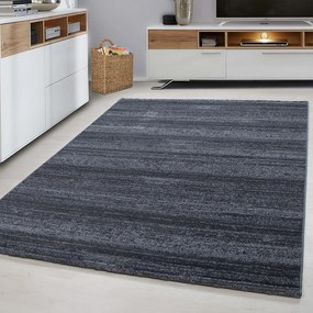 Szürke szőnyeg 80x150 cm Plus – Ayyildiz Carpets
