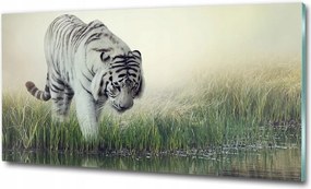 Fotó-kép edzett üveg Fehér tigris 100x70