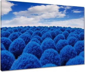 Vászonkép 80x60 Klasszikus kék színben