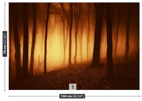 Fotótapéta ijesztő erdő 104x70 cm