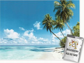 Fotótapéta Tengerpart Pálmafák Tájkép Falra Hálószoba Nappali 300x210