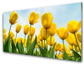 Akril üveg kép Tulipán virágok Plant 100x50 cm 4 fogas