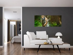 Futó tigris képe (120x50 cm)