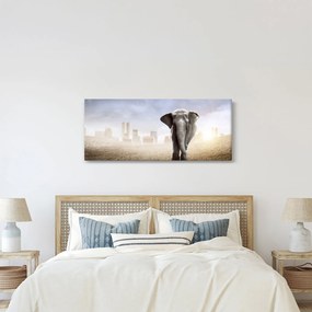 Kép - Elefánt egy nagyvárosban (120x50 cm)