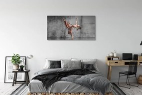 Üvegképek Női hosszú haj tánc 120x60cm