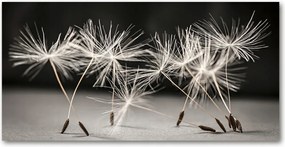 Fotó üvegkép Pitypang magok 140x70