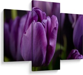 Tulipán vírág képe (90x60 cm)