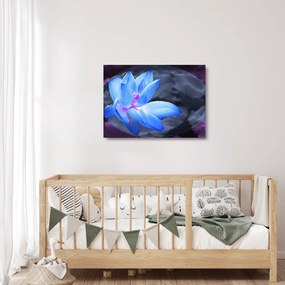 Egy virág képe részletesen (üvegen) (70x50 cm)