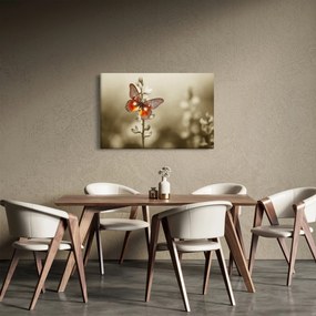 Pillangó képe (90x60 cm)