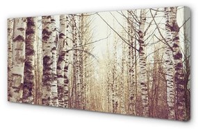 Canvas képek fák 125x50 cm