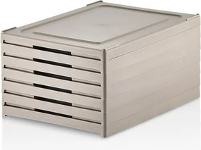 Lavine 105 - Beige