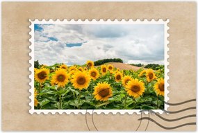 Poszterek 90x60 Tájkép napraforgókkal