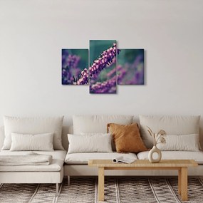 Levandula képe (90x60 cm)