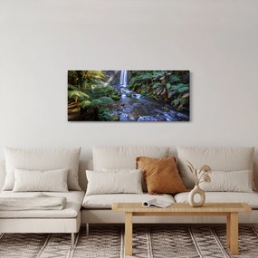 Ausztrál esőerdő képe (120x50 cm)