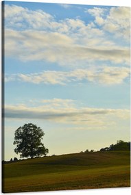 Vászonkép Természet Fa a réten 60x90 cm