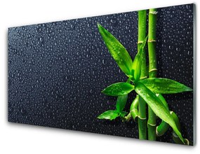 Üvegkép Bamboo Stem növény természet 120x60cm 4 fogas