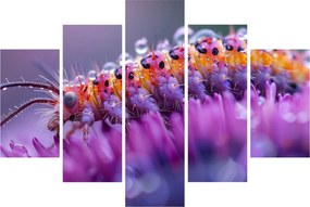 Kép - Caterpillar (150x105 cm)