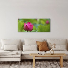 Kép - vízi növény (120x50 cm)
