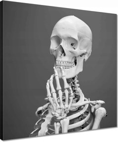 Vászonkép 40x40 Csontváz