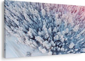 Havas fák képe (90x60 cm)