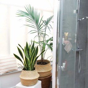 Compactor Belly kötött tengeri fű tárolókosár, 35 x 32 cm, natúr, M