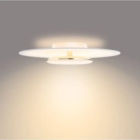 Philips- LED Dimmelhető mennyezeti lámpa GARNET SCENE SWITCH LED/40W/230V 2700K