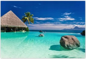 Poszterek 200x135 Trópusok Tájkép Pálmafák