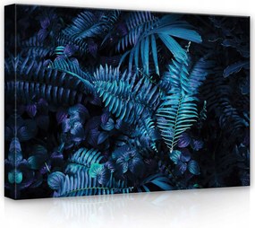 Vászonkép 70x50 Trópusi növényzet páfrány pálmalevelek sötét titokzatos