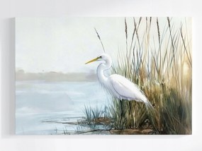 Poszter Természet Fehér Kócsag Madár Tó 60x40