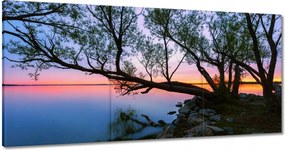 Vászonkép 180x90 Sziklák Fa Tó