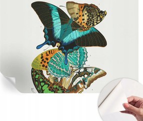 Design fali fotótapéta öntapadós Színes pillangók 104x70 cm