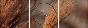 Kép - Cortaderia (órával) (90x30 cm)