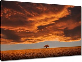 Vászonkép 90x60 Narancssárga égbolt