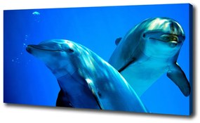 Vászonkép Két delfin oc-16277956