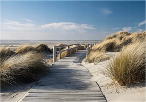 Fotótapéta Tengerpart Dűnék Hálószoba Nappali Tapéta Flizelina 400x280