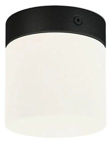Nowodvorski CAYO fürdőszobai mennyezeti lámpa, fekete, G9 foglalattal, 1x25W, TL-8055