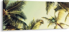 Kép kókuszpálmával (120x50 cm)