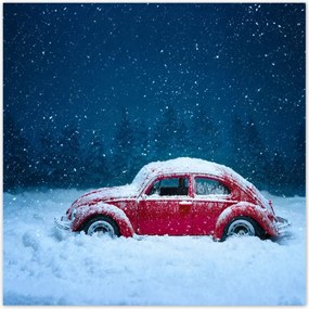 Poszterek 140x140 Bogár