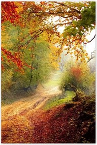 Poszterek 60x90 Tájkép