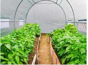 Kerti fóliaház/fóliasátor 2x3m UV filterrel STANDARD