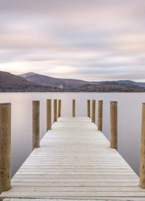 Poszter 20,5x28,4cm, Assaf Frank