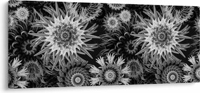 Kép - Fekete és fehér gyűszűvirág (120x50 cm)