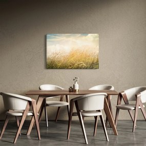 Kép - Mező ősszel (90x60 cm)