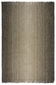Szürke szőnyeg 120x170 cm – Flair Rugs