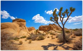 Fotótapéták flizelina 416x254 Sivatagi táj