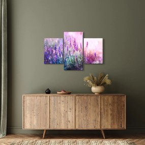 Kép - Levendula a csillogó napban (90x60 cm)