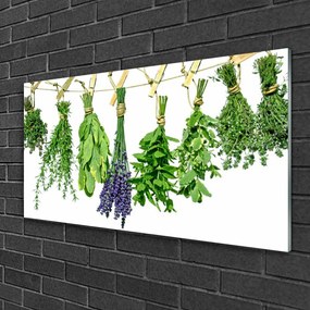 Fali üvegkép Szirmok virágok Gyógynövények 120x60cm