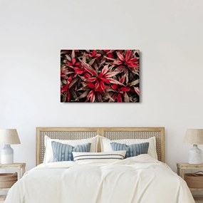 Piros szirmok képe (90x60 cm)