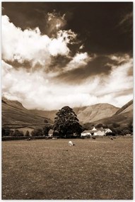 Poszterek 80x120 Ír táj Szépia