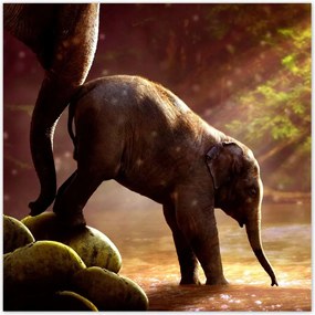 Poszterek 100x100 Anya csak egy van